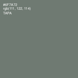 #6F7A72 - Tapa Color Image