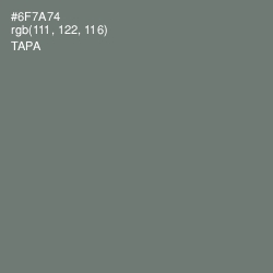 #6F7A74 - Tapa Color Image