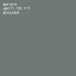 #6F7A75 - Boulder Color Image