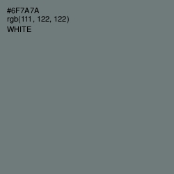 #6F7A7A - Boulder Color Image