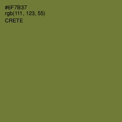 #6F7B37 - Crete Color Image