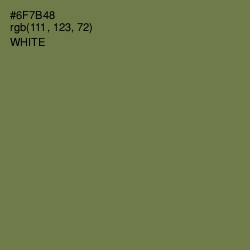 #6F7B48 - Go Ben Color Image