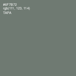 #6F7B72 - Tapa Color Image