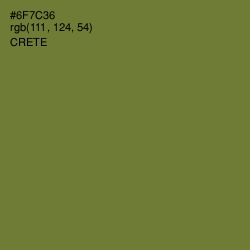 #6F7C36 - Crete Color Image