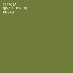 #6F7C3A - Pesto Color Image