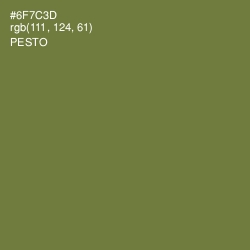 #6F7C3D - Pesto Color Image