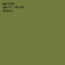 #6F7C3E - Pesto Color Image