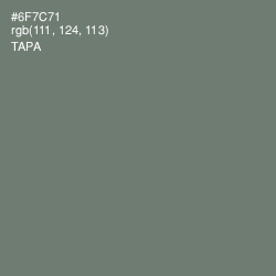 #6F7C71 - Tapa Color Image