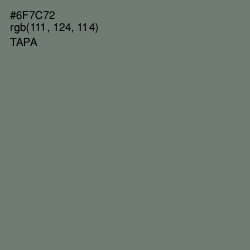 #6F7C72 - Tapa Color Image