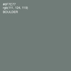 #6F7C77 - Boulder Color Image