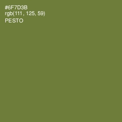 #6F7D3B - Pesto Color Image