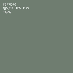 #6F7D70 - Tapa Color Image