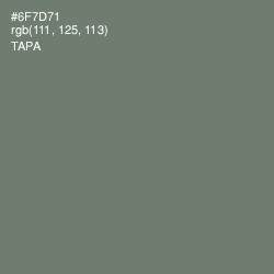 #6F7D71 - Tapa Color Image