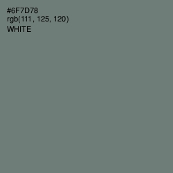 #6F7D78 - Boulder Color Image