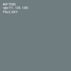 #6F7D80 - Pale Sky Color Image