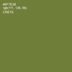 #6F7E38 - Crete Color Image