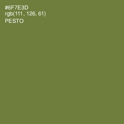 #6F7E3D - Pesto Color Image