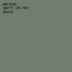 #6F7E6D - Limed Ash Color Image