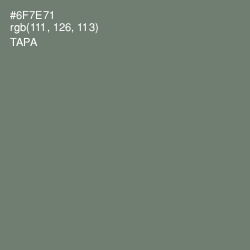 #6F7E71 - Tapa Color Image