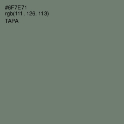 #6F7E71 - Tapa Color Image