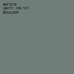 #6F7E79 - Boulder Color Image