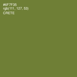 #6F7F35 - Crete Color Image