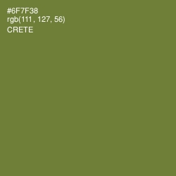 #6F7F38 - Crete Color Image