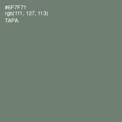#6F7F71 - Tapa Color Image