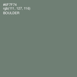 #6F7F74 - Boulder Color Image