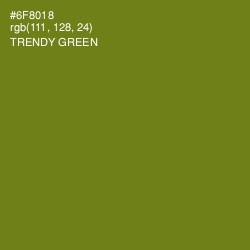 #6F8018 - Trendy Green Color Image