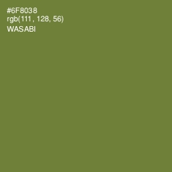 #6F8038 - Wasabi Color Image