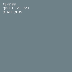 #6F8188 - Slate Gray Color Image