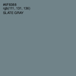 #6F8388 - Slate Gray Color Image