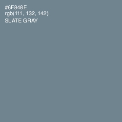 #6F848E - Slate Gray Color Image