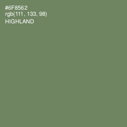 #6F8562 - Highland Color Image