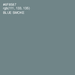 #6F8587 - Blue Smoke Color Image