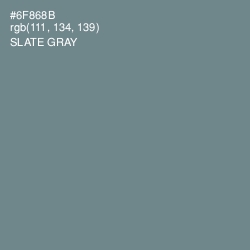 #6F868B - Slate Gray Color Image