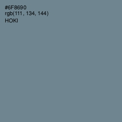 #6F8690 - Hoki Color Image