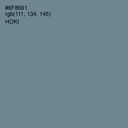 #6F8691 - Hoki Color Image