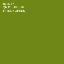 #6F8717 - Trendy Green Color Image