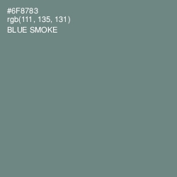 #6F8783 - Blue Smoke Color Image