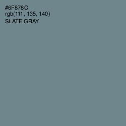 #6F878C - Slate Gray Color Image