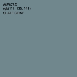 #6F878D - Slate Gray Color Image