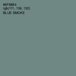 #6F8884 - Blue Smoke Color Image