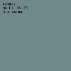 #6F8889 - Blue Smoke Color Image