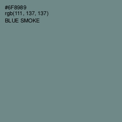 #6F8989 - Blue Smoke Color Image