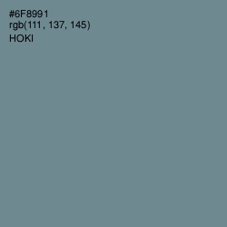 #6F8991 - Hoki Color Image