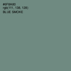 #6F8A80 - Blue Smoke Color Image