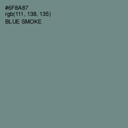 #6F8A87 - Blue Smoke Color Image