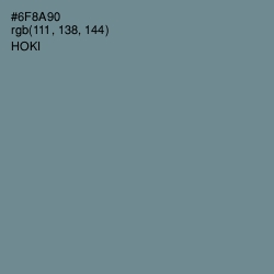 #6F8A90 - Hoki Color Image